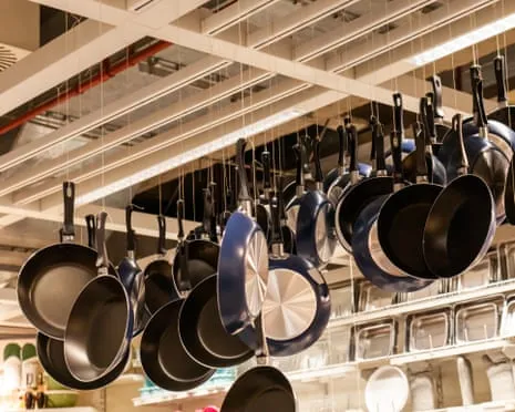 PTFE Nutrition, Garlic Milk and Striped Cattle Shine at 2025 Ig Nobel Prizes
