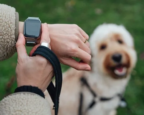 The Truth Regarding Fitness Trackers? Living Improves Lacking a Hectoring Device on Your Wrist
