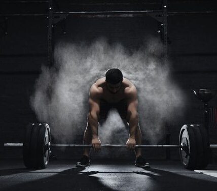 Bodybuilding Workout